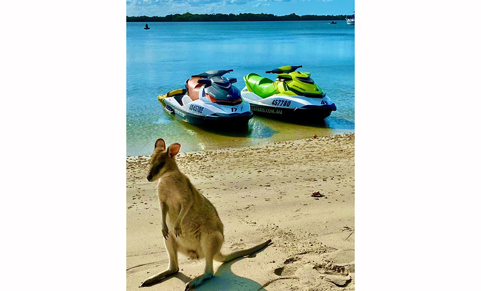 The best activity on the Gold Coast, from sightseeing to a total adrenaline rush here at Jet Ski Safaris, we have it all. Jet Ski Safaris is the original and the best! Do not accept imitations! (80km round trip)